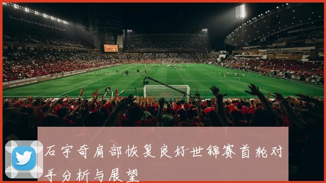 石宇奇肩部恢复良好世锦赛首轮对手分析与展望