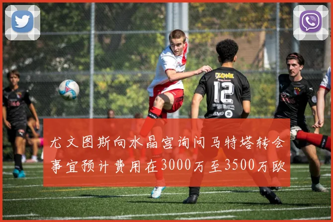 尤文图斯向水晶宫询问马特塔转会事宜预计费用在3000万至3500万欧元之间